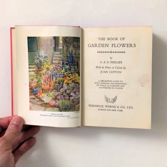 The Book of Garden Flowers - 1954 - Picture 2 of 16